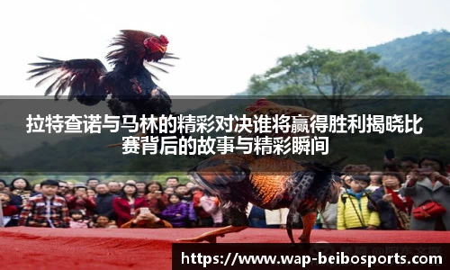 ballbet贝博体育官网