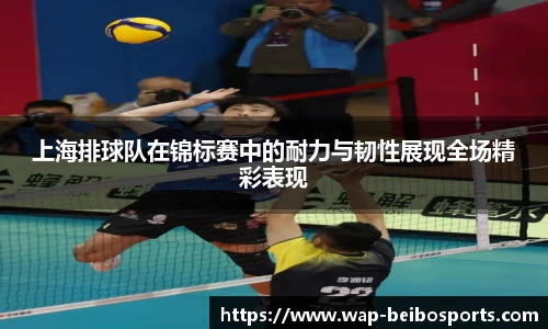 BB贝博体育